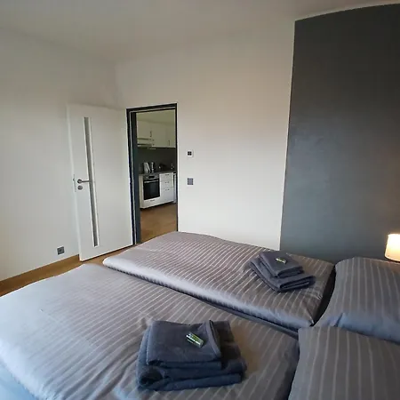 Grayhouse 아파트 Hradec Králové